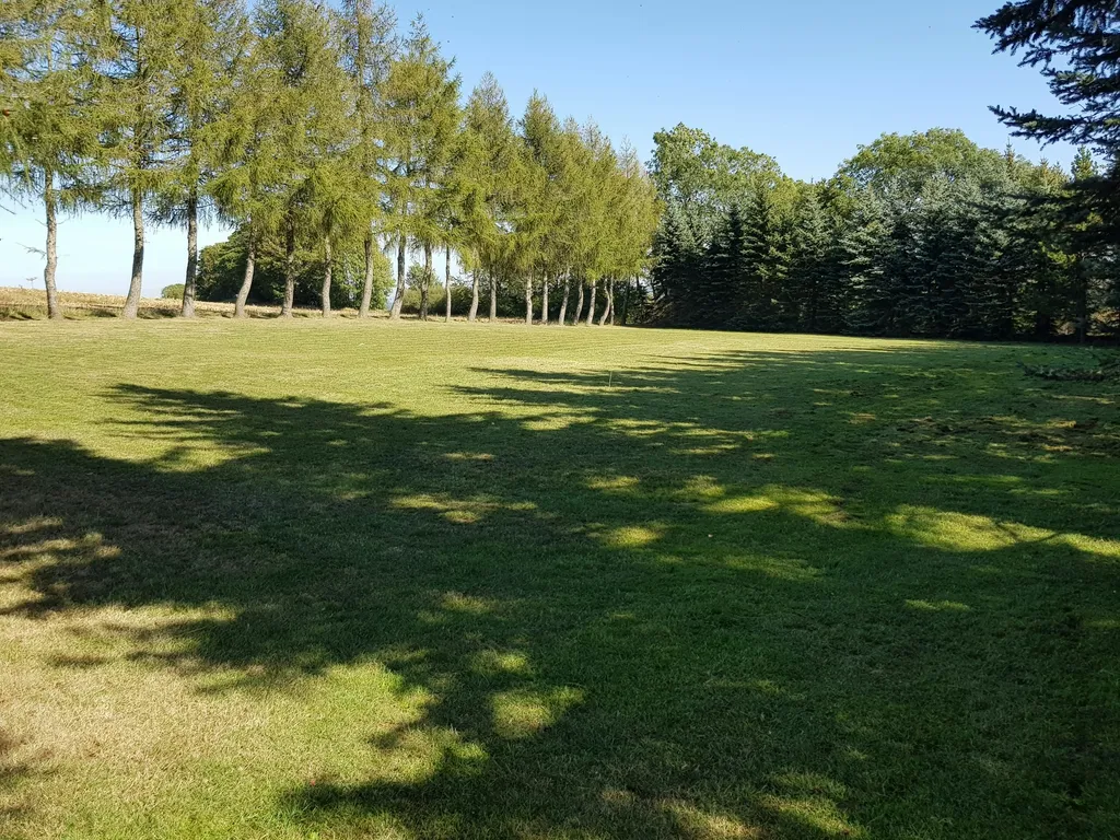 Wiese am Ortsrand
