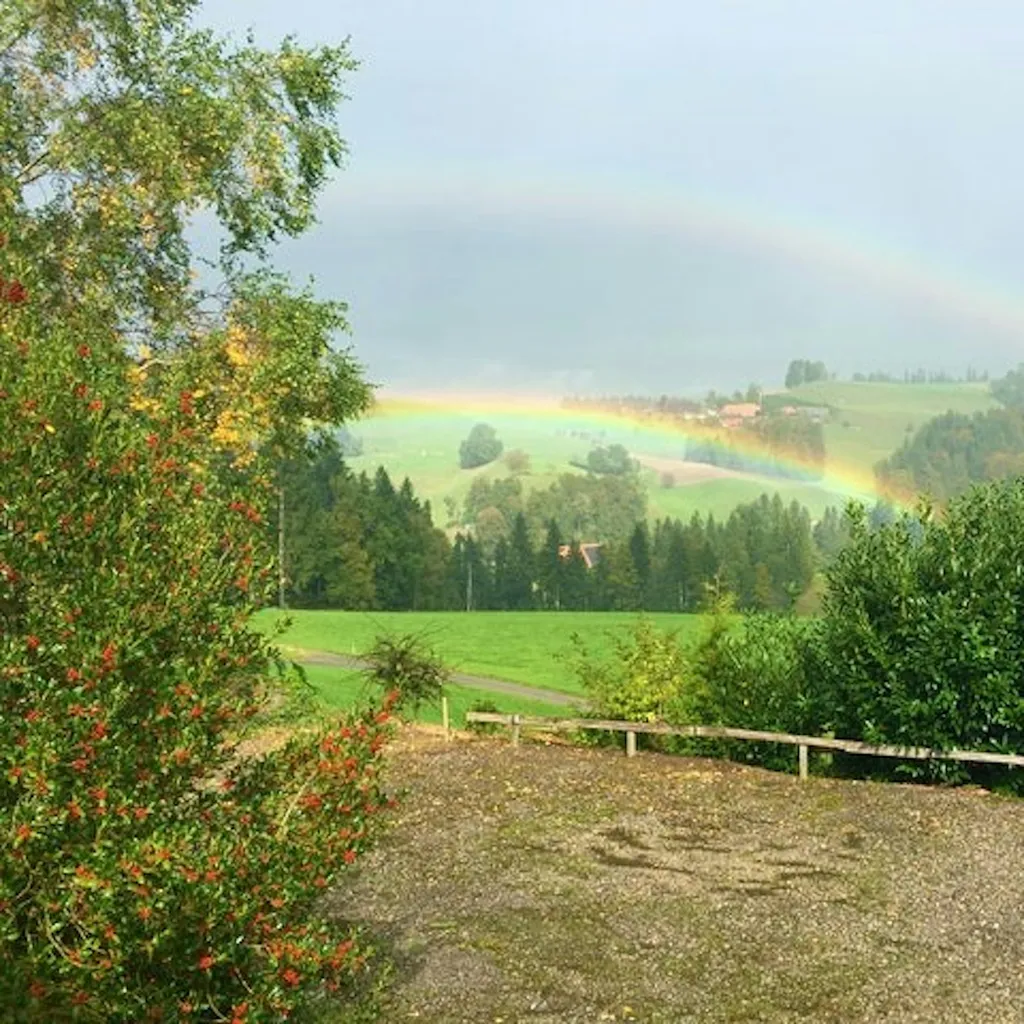 Tröimli Rüegsbach - Rotmilan