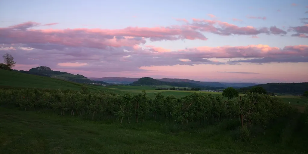 Anhöhe Alpenblick, Nahe Obstbäumen