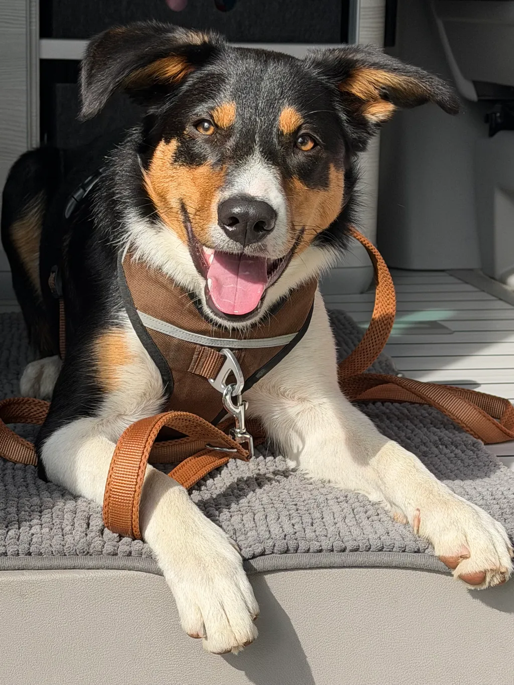 Bild von Angela für den Spot 128