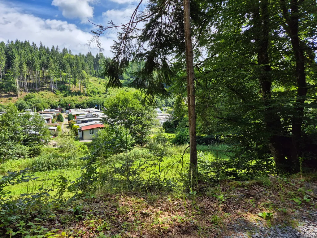 Bild von Thomas für den Spot 2542