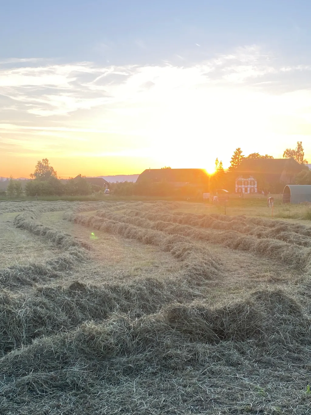 Bild von Markus für den Spot 283