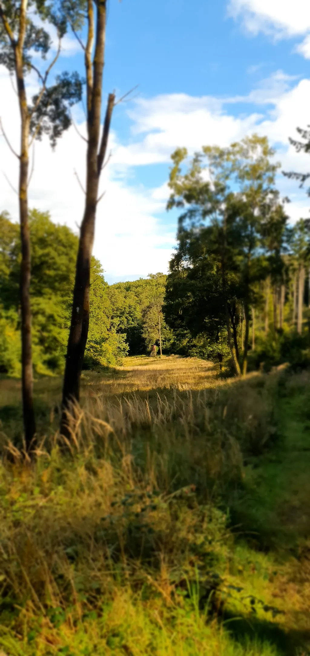 Bild von Lea für den Spot 2314