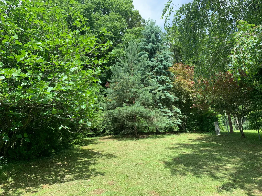 Auch hier oben am Rand der Hecke kannst du stehen, wenn dein Fahrzeug nicht zu groß ist und über Gras fahren kann.