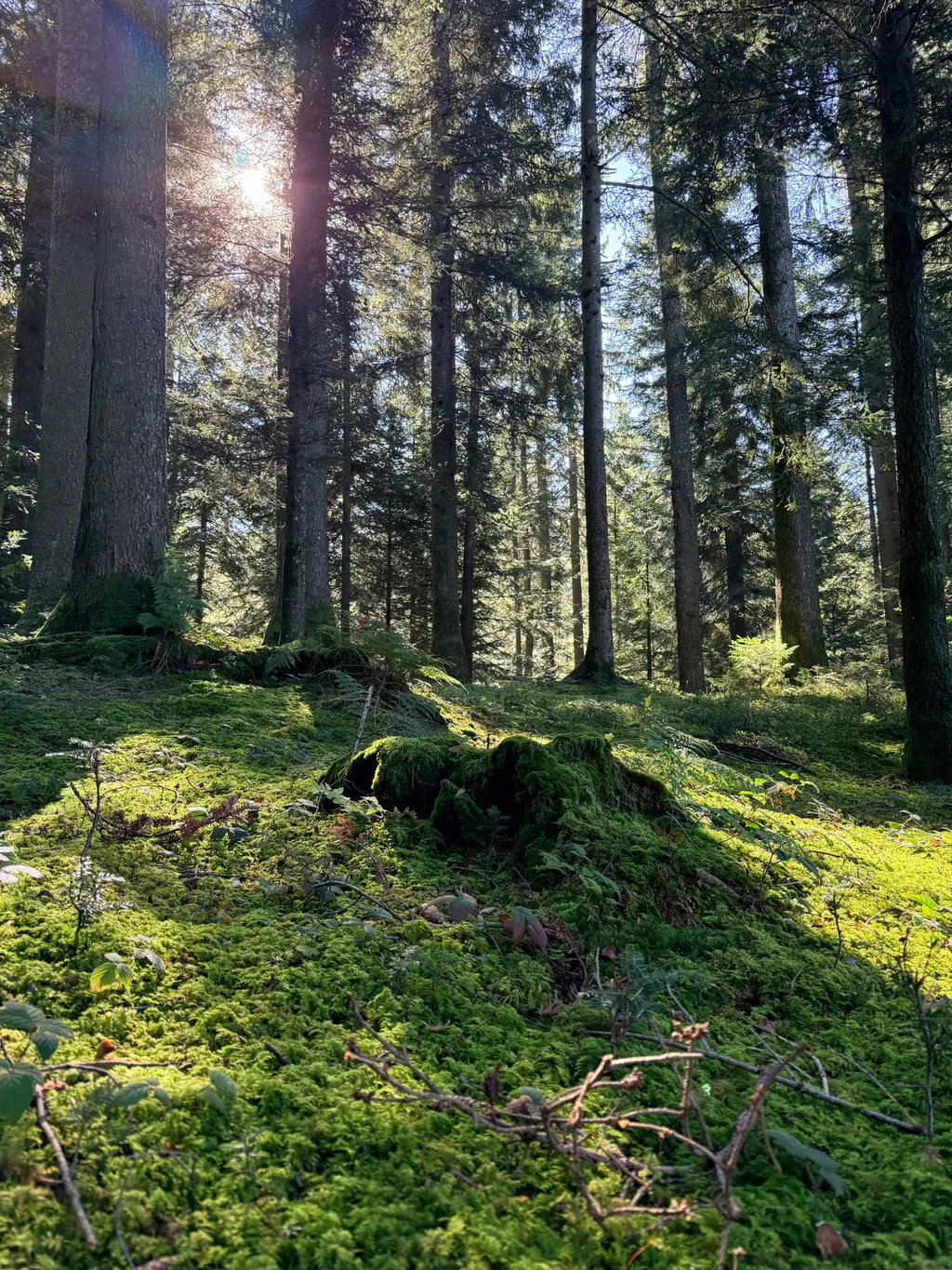 Image de Sam pour le spot 3415