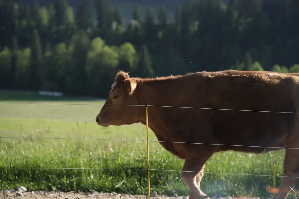 Bild von Maevel für den Spot 1141