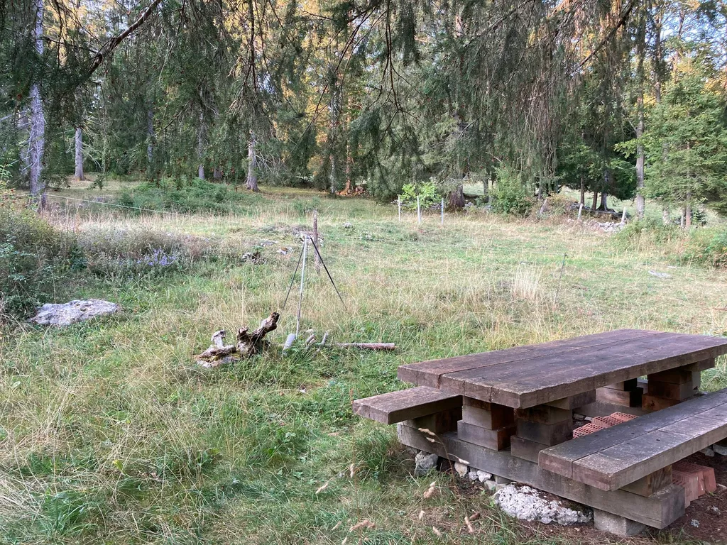 Paturage au Jura Neuchâtelois