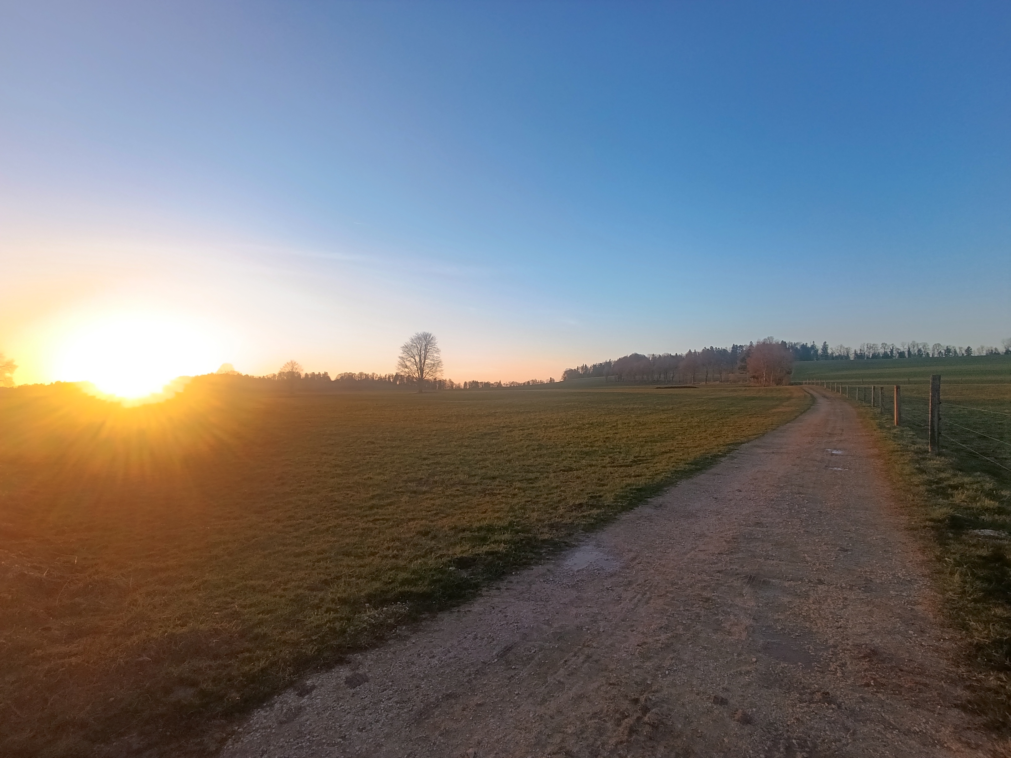 Lisière de forêt isolée aux Franches-Montagnes
