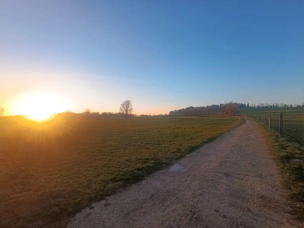 Lisière de forêt isolée aux Franches-Montagnes