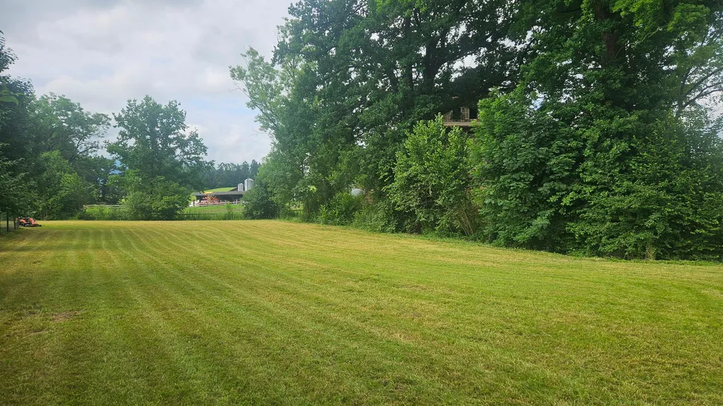 Platz direkt neben Bach mit Hecke.