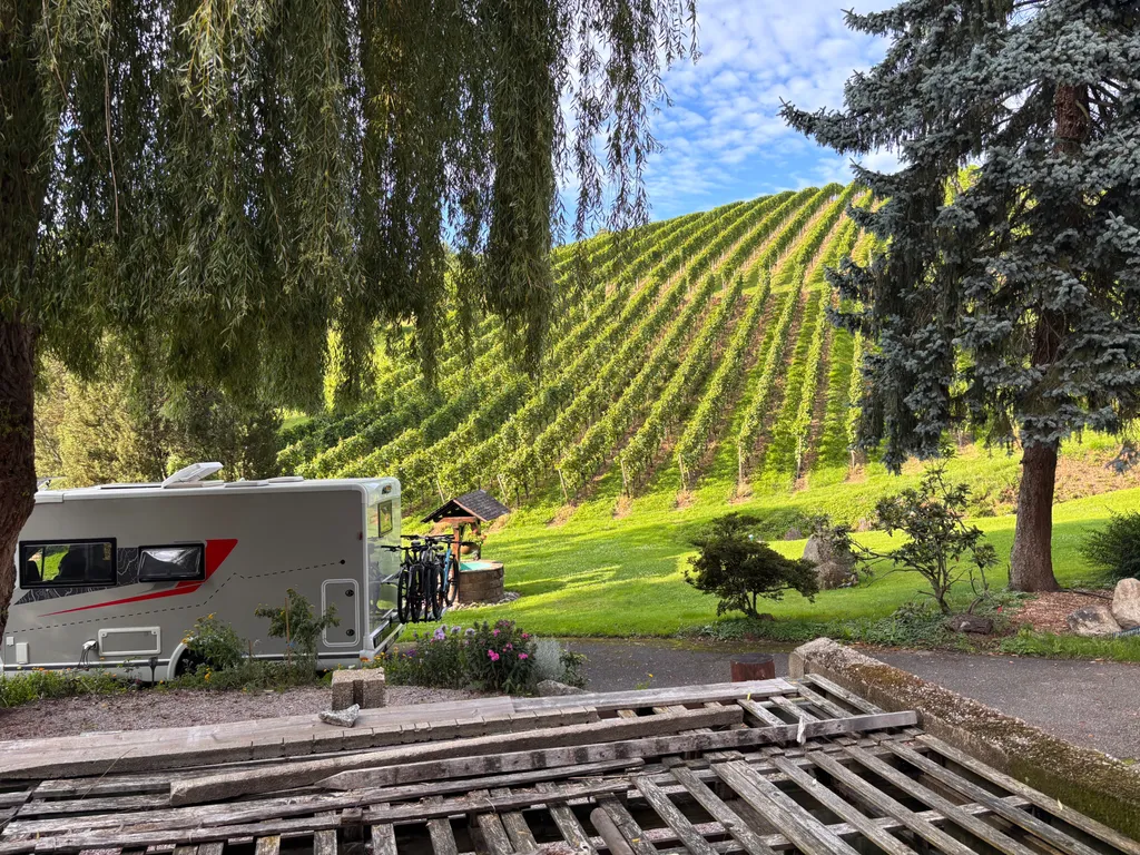 Bild von Christophe für den Spot 1457