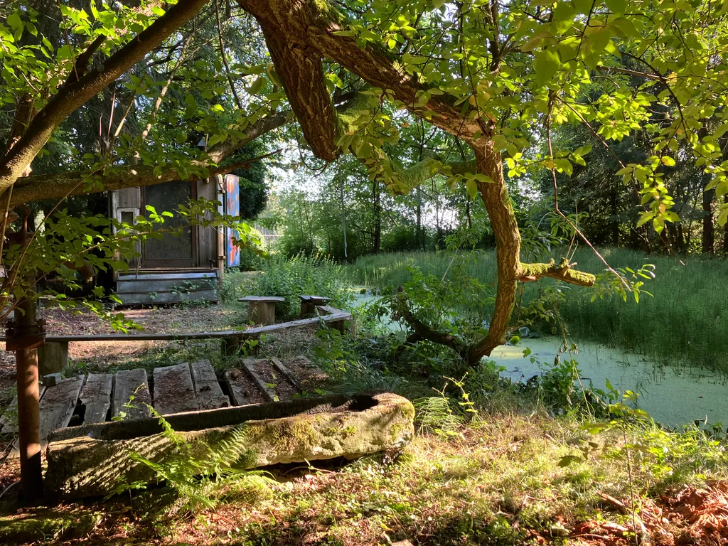 Naturplatz zwischen Teich und Bäumen – Blick auf das Grundstück mit viel Grün, schattigen Bereichen und dem Bauwagen im Hintergrund.