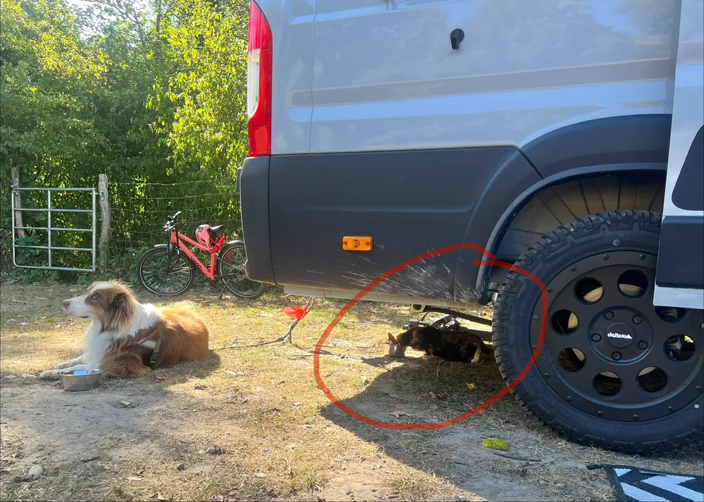 Bild von Maximilian für den Spot 219
