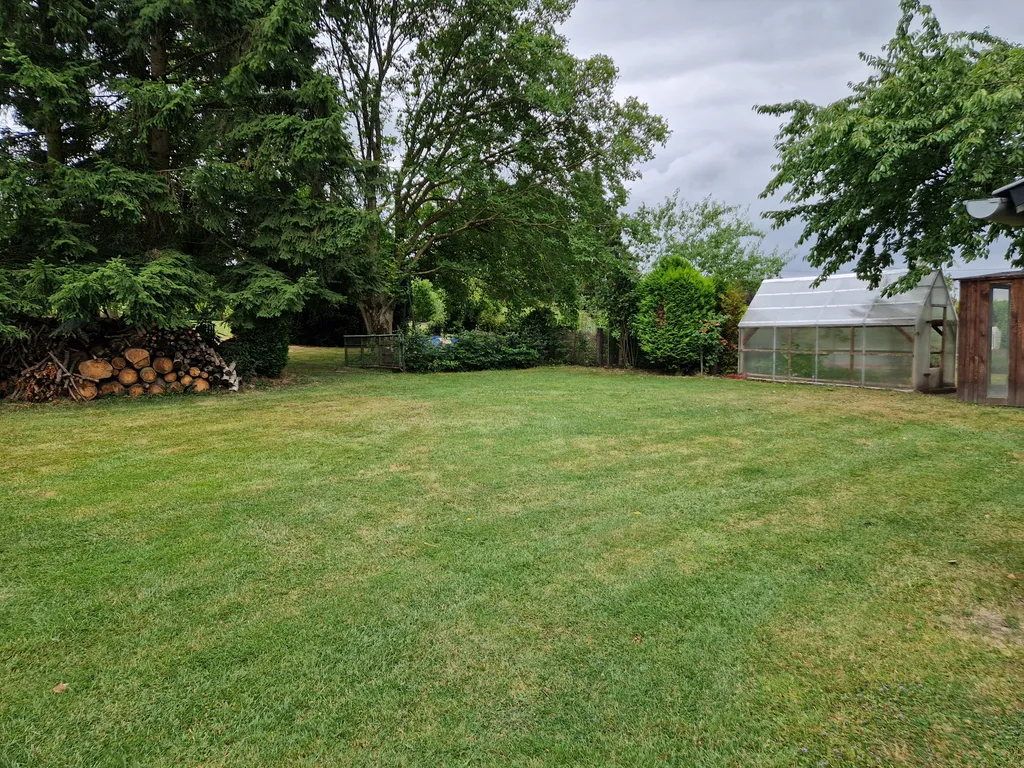 Obstwiese mit Hühnern