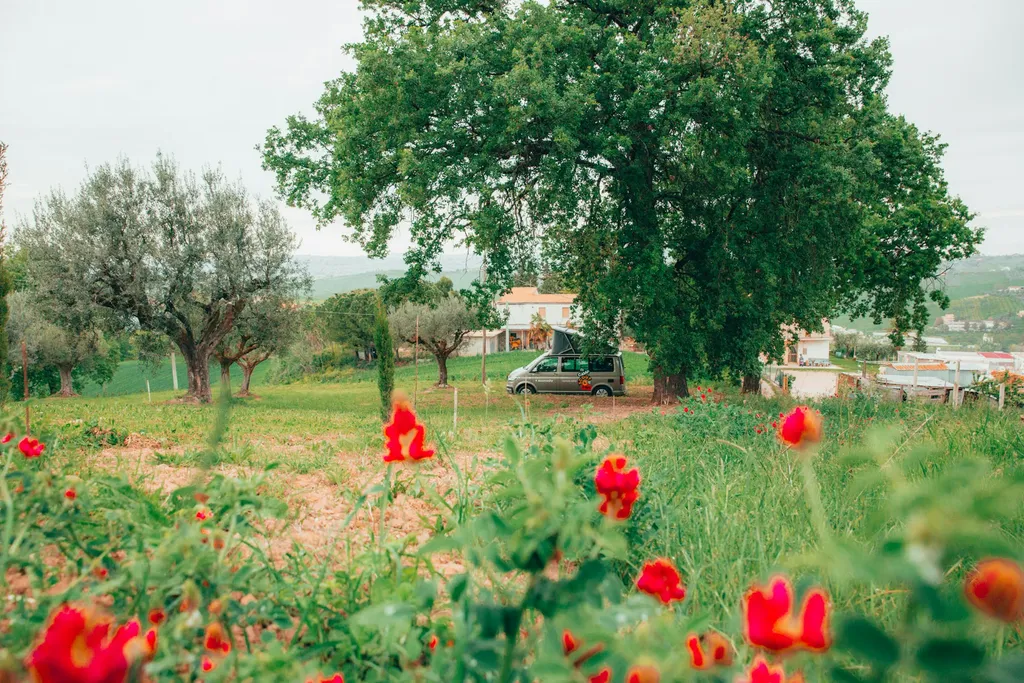 Camp L'officina dei sogni