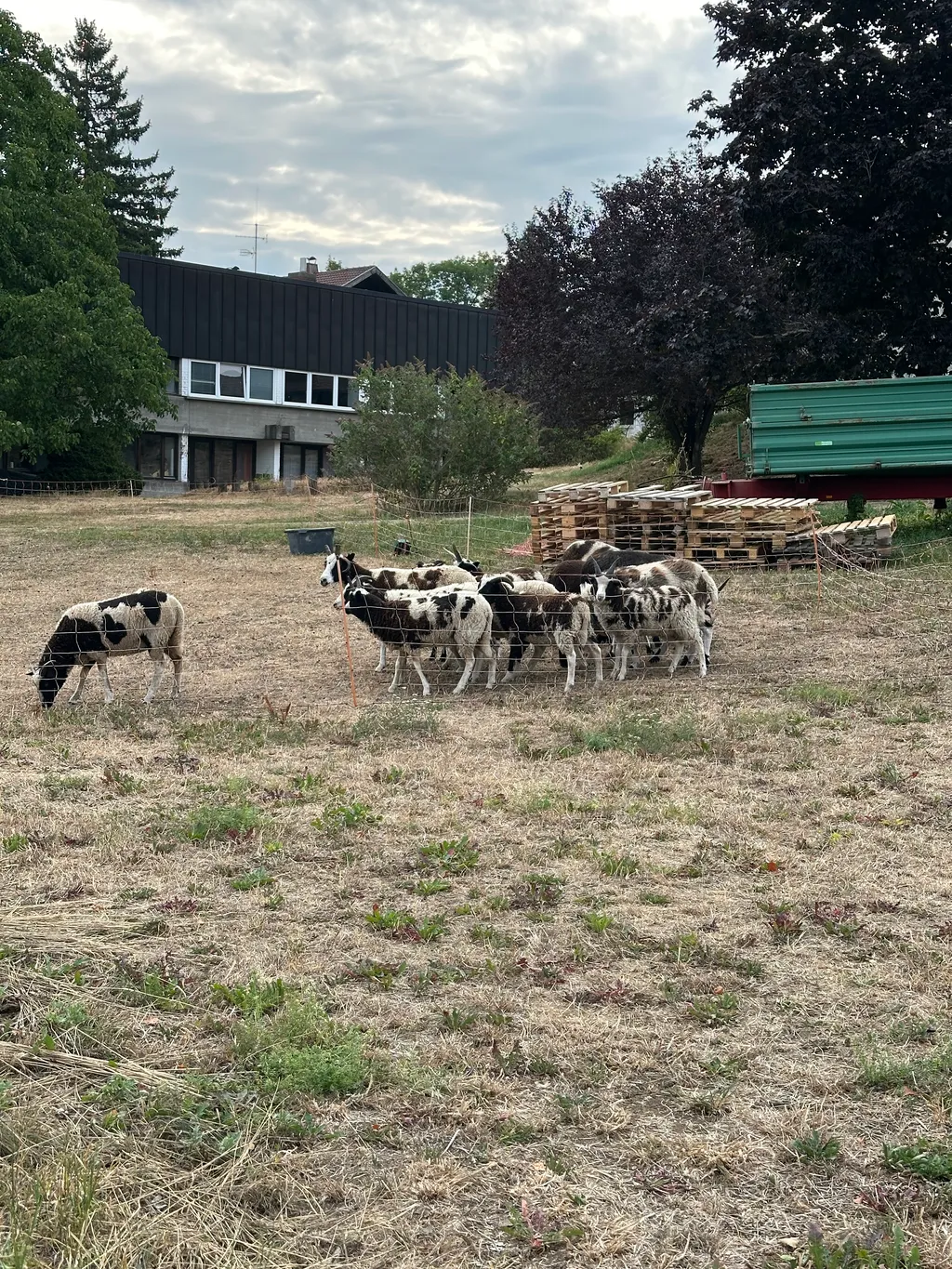 Bild von Simon für den Spot 1445