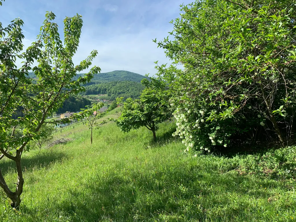 Garten: du nutzt ihn alleine