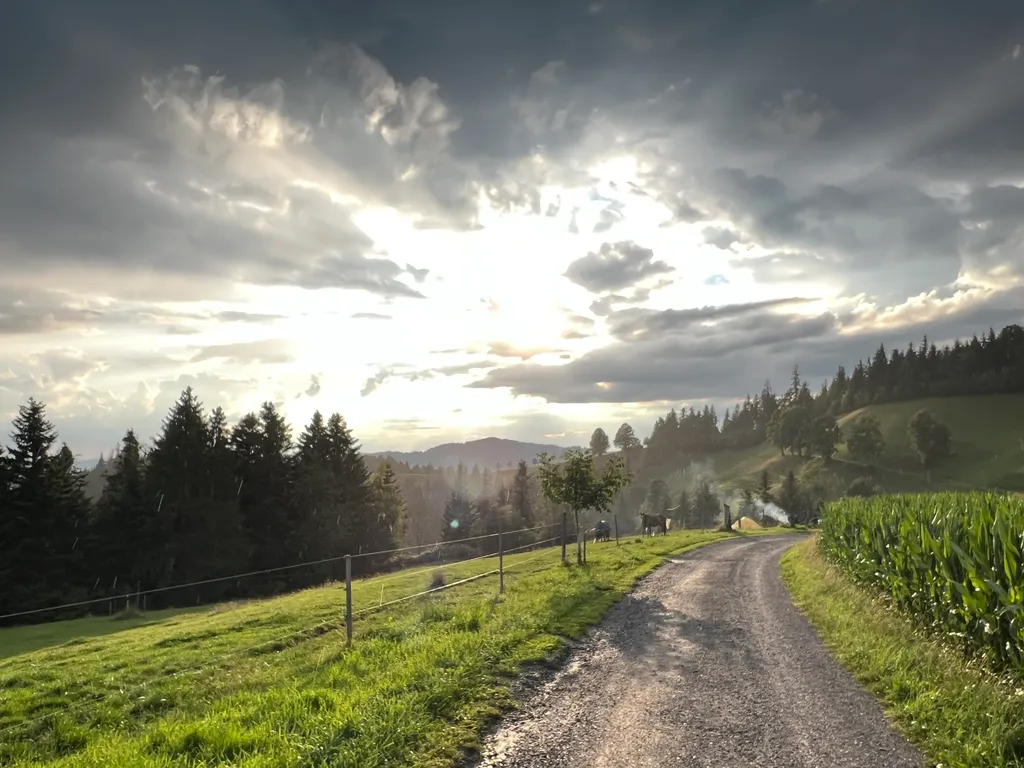 Image de Alessandro pour le spot 311