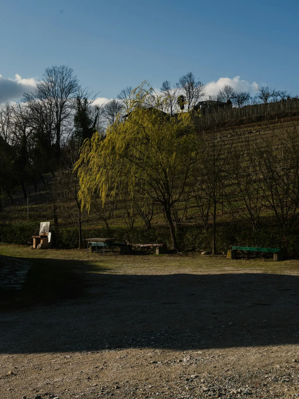 Camp Grancollina 🍷🍇