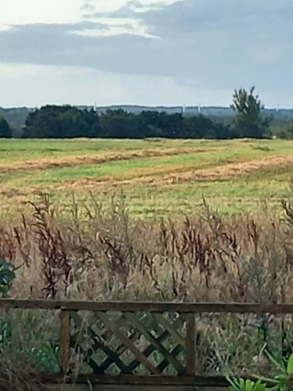 Alter Bauernhof zw. Nord- & Ostsee