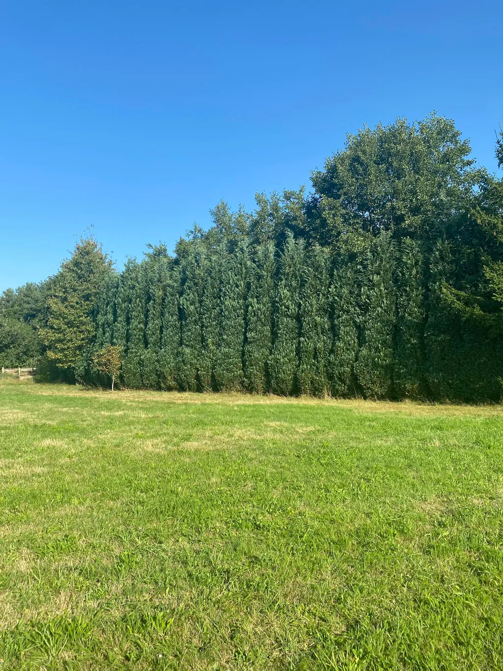 Camping am Lindenbaum