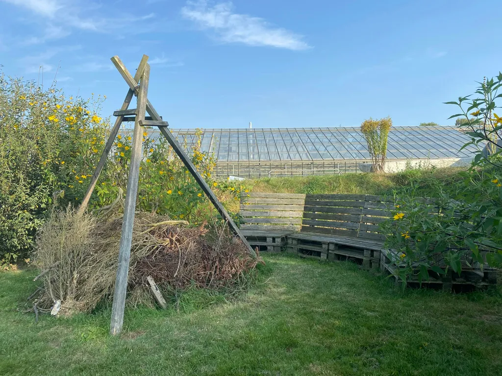 Wiese hinterm Haus