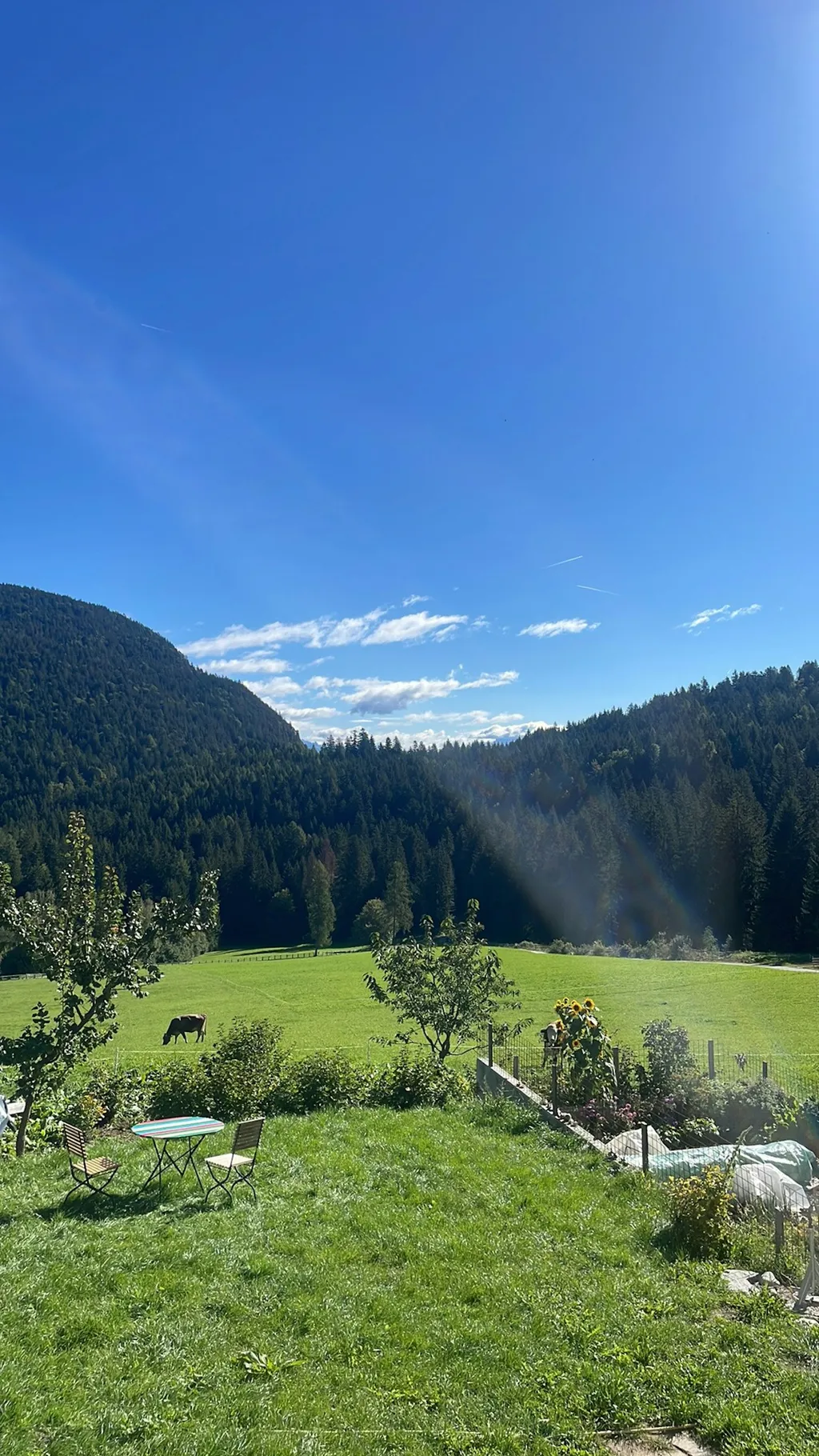 Klein Fein Besonders