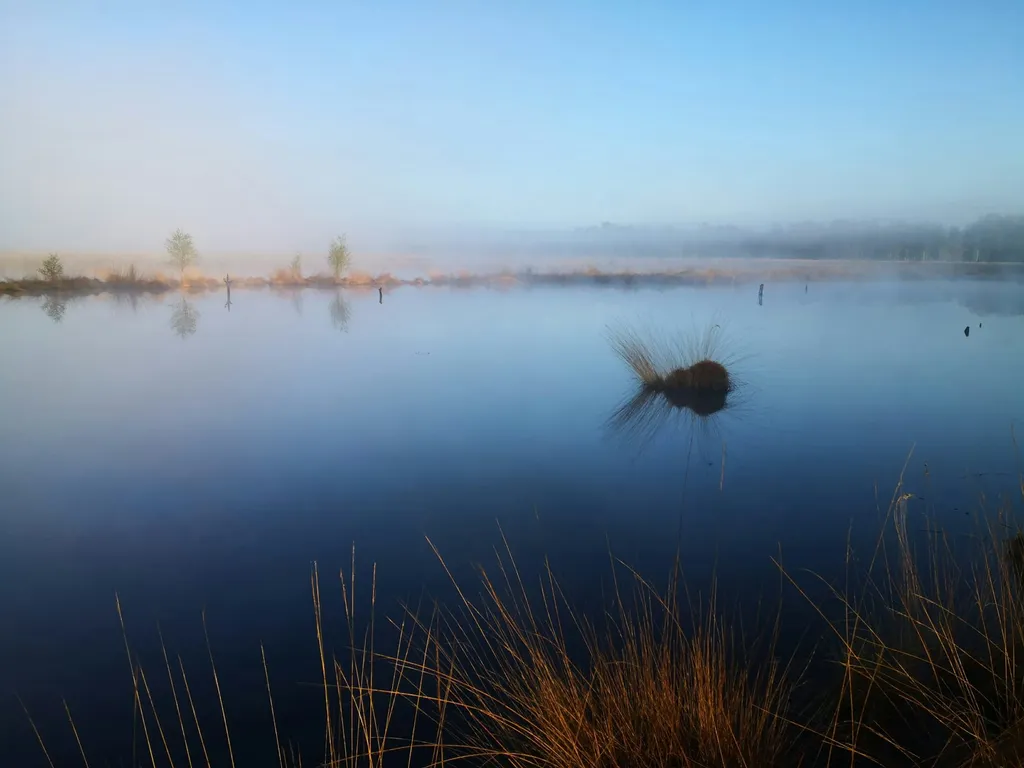 Wohnmobilstellplatz beim Pietzmoor