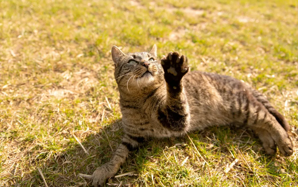 Weitsicht am Feldrand