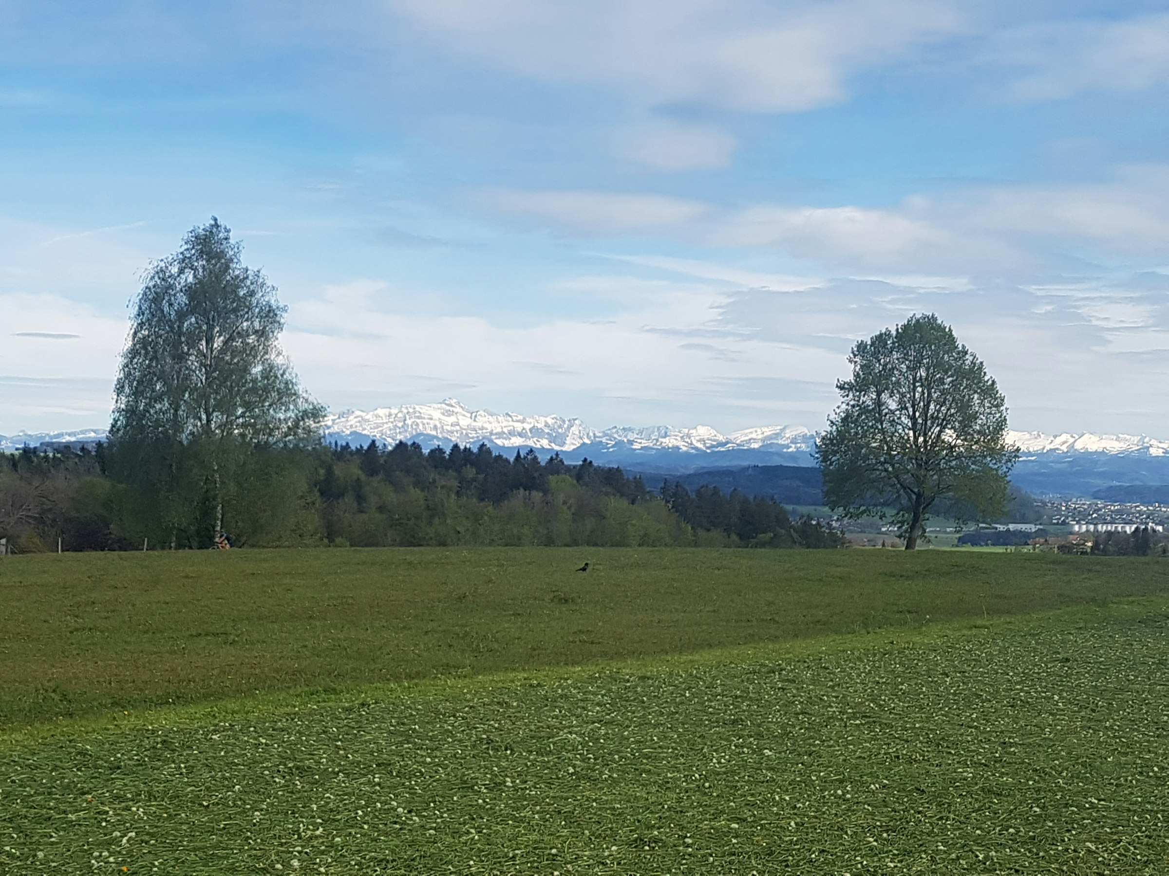 Panoramablick Alpstein