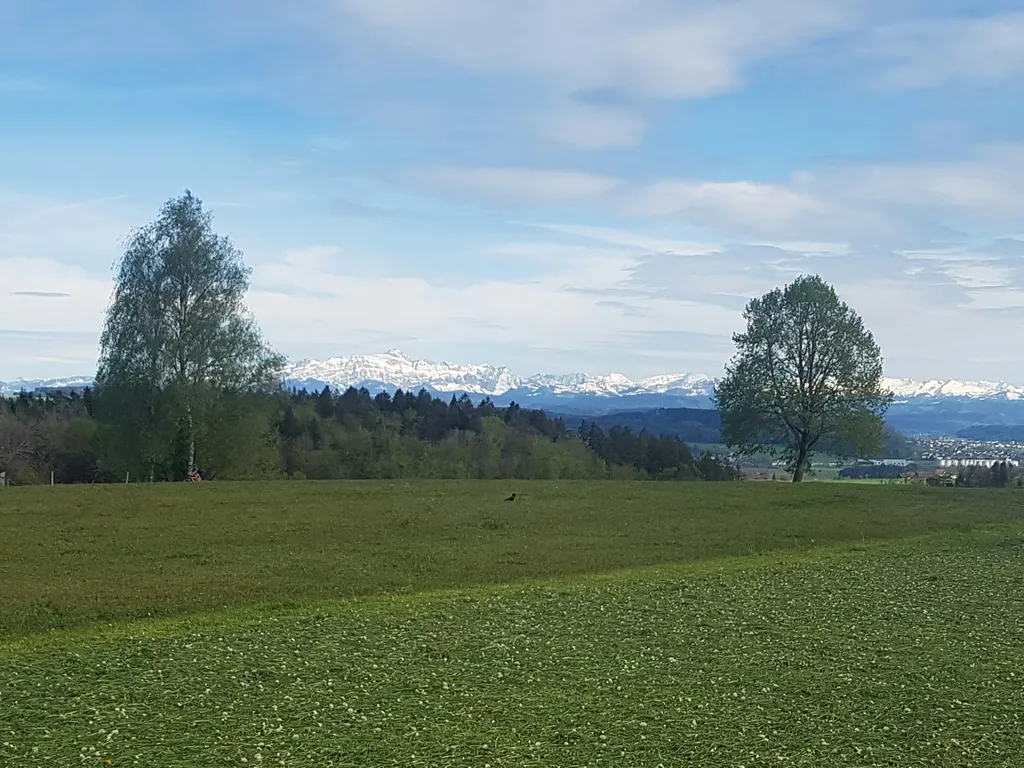 Panoramablick Alpstein