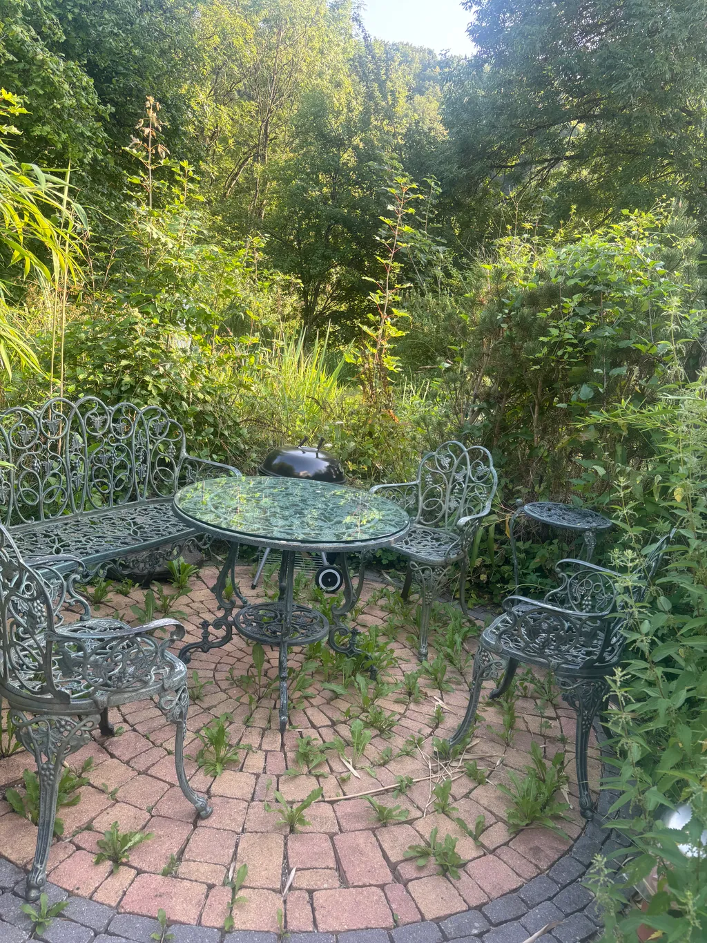 Image by Sandra for spot 905