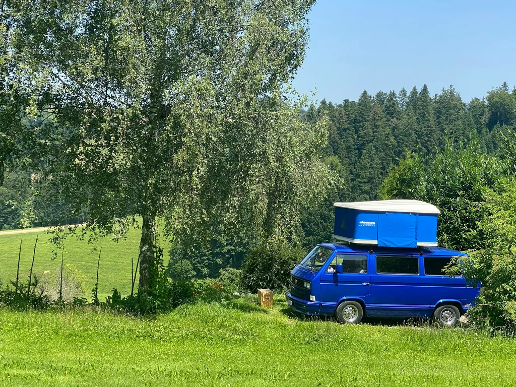 Tröimli Rüegsbach - Rotmilan