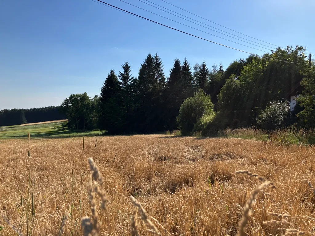 Ländliche Umgebung im Frankenwald – Wiesen, Felder und Wald rund um den Platz – ideal als Ausgangspunkt für Spaziergänge und Wanderungen.