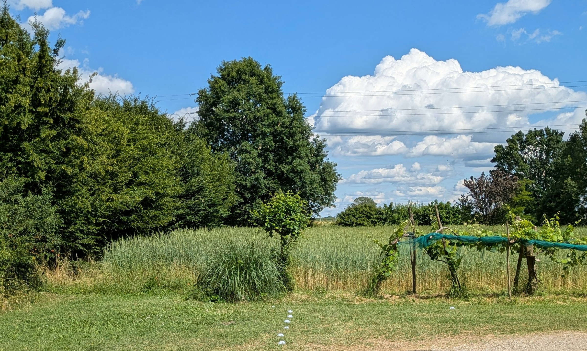 Agricola Giovanardi - biologico rigenerativo