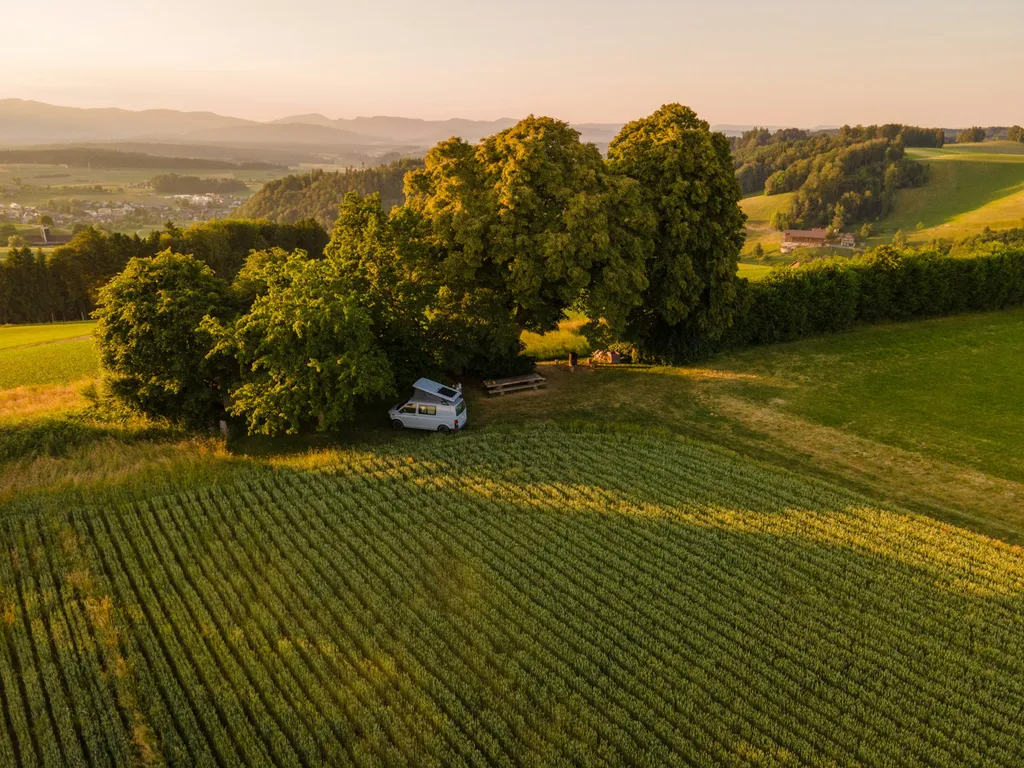Heckenfenster Rossweid