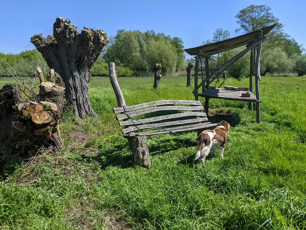 Obstwiese in Alleinlage an der Oder