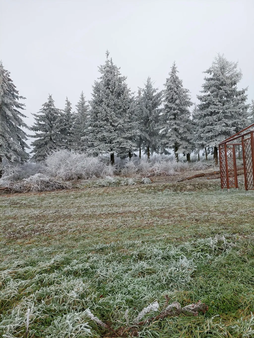 Idylle im lieblichen Taubertal