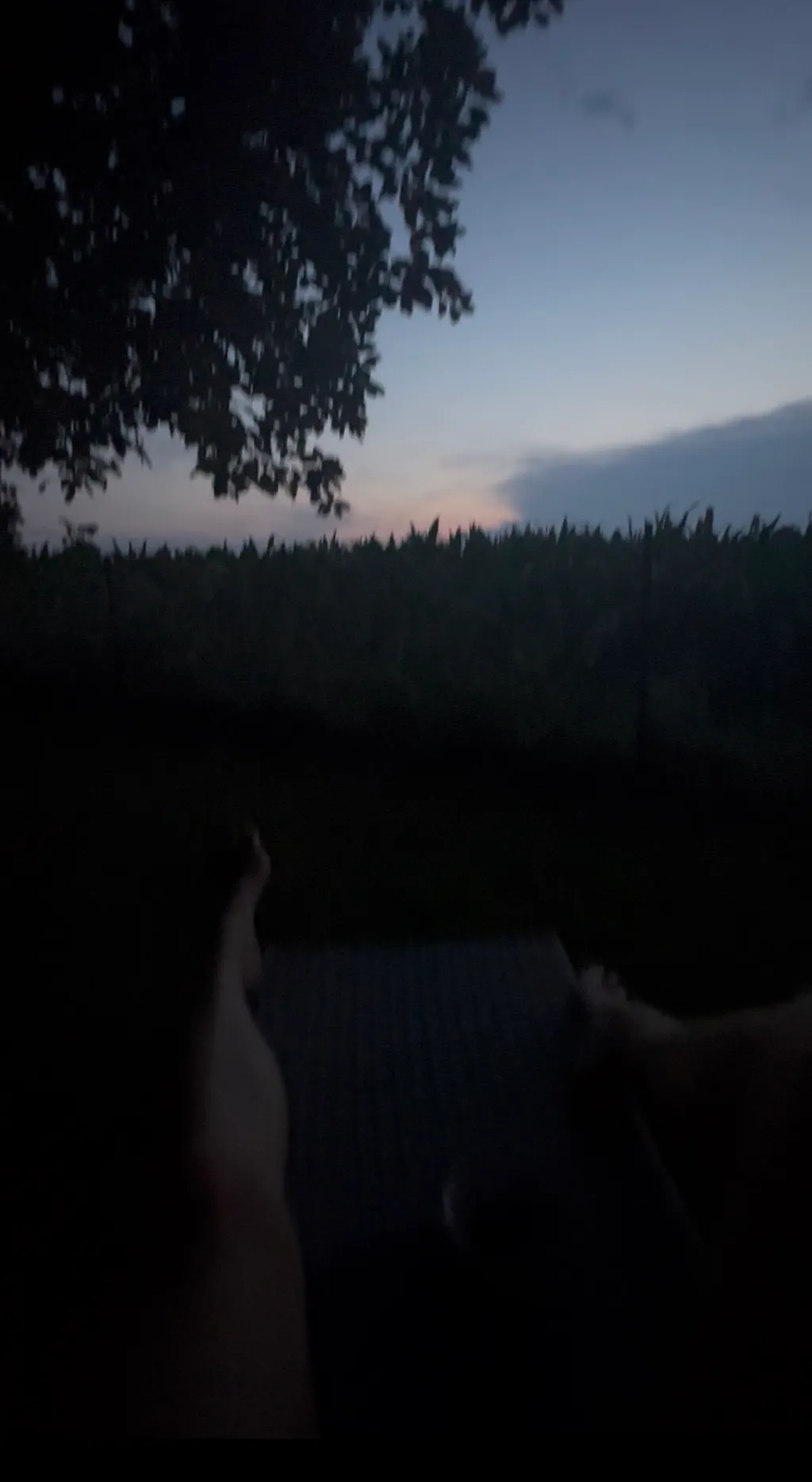 Bild von Flo für den Spot 1497