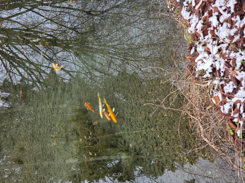 Bild von Carsten für den Spot 1573