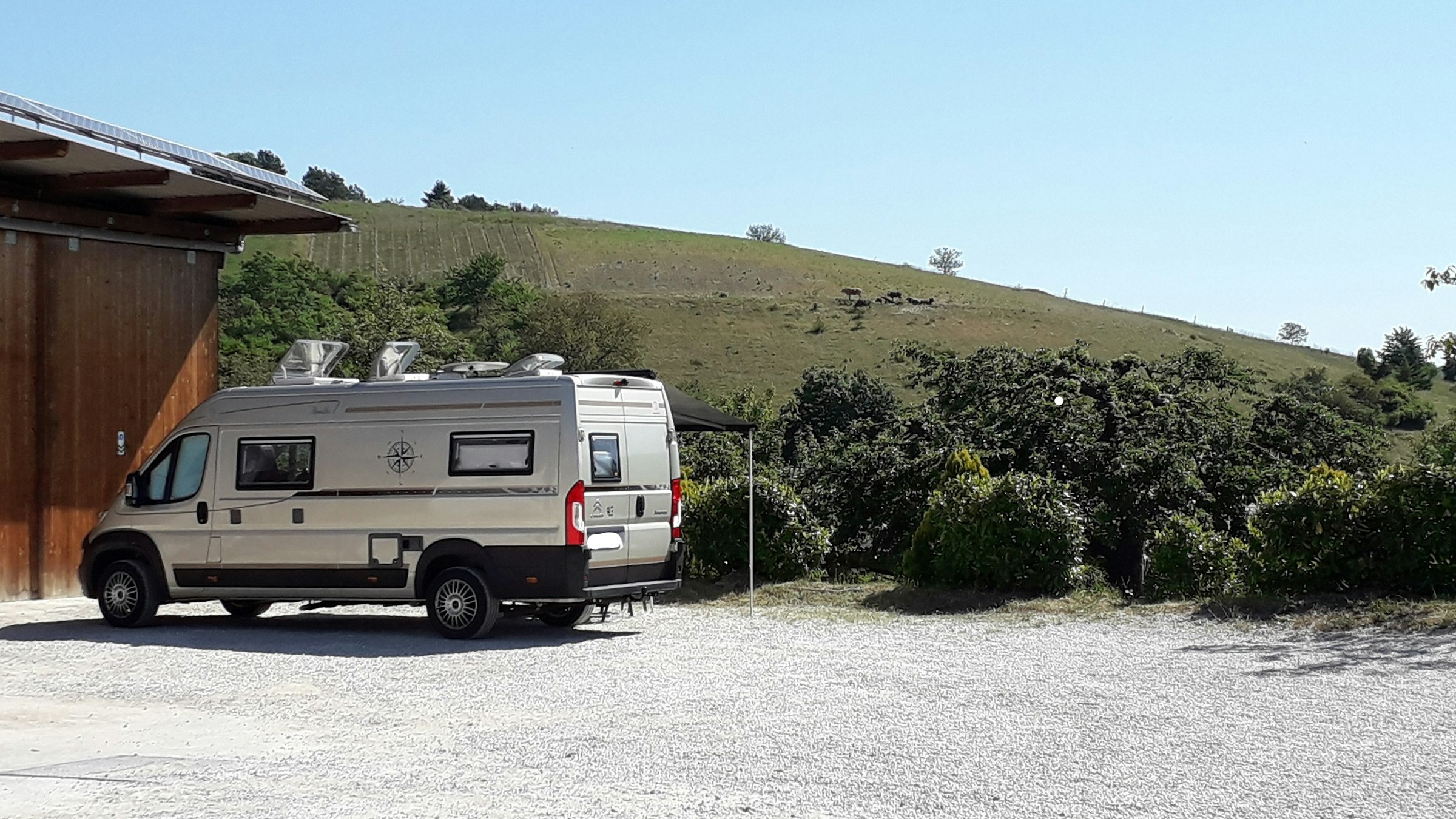 Idyllischer Platz beim Bio-Weingut