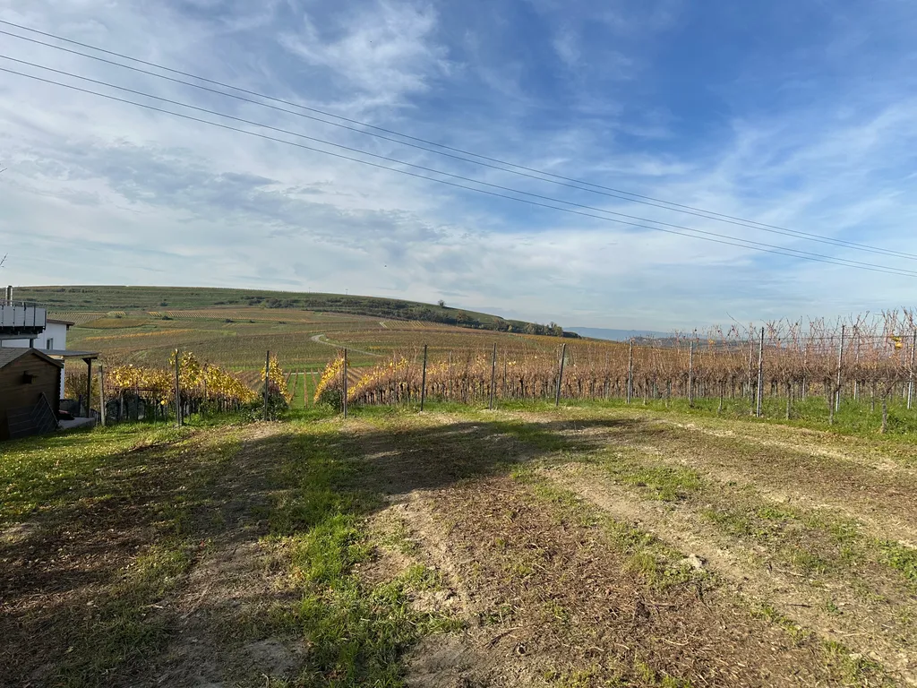 Camping im Weinberg auf dem Winzerhof