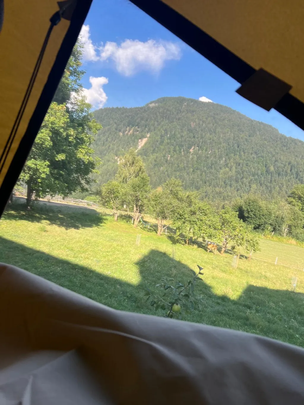 Bild von Nadia für den Spot 4227