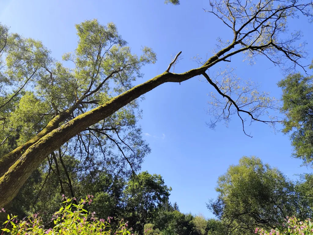 Bild von Maren & Alfred für den Spot 3634