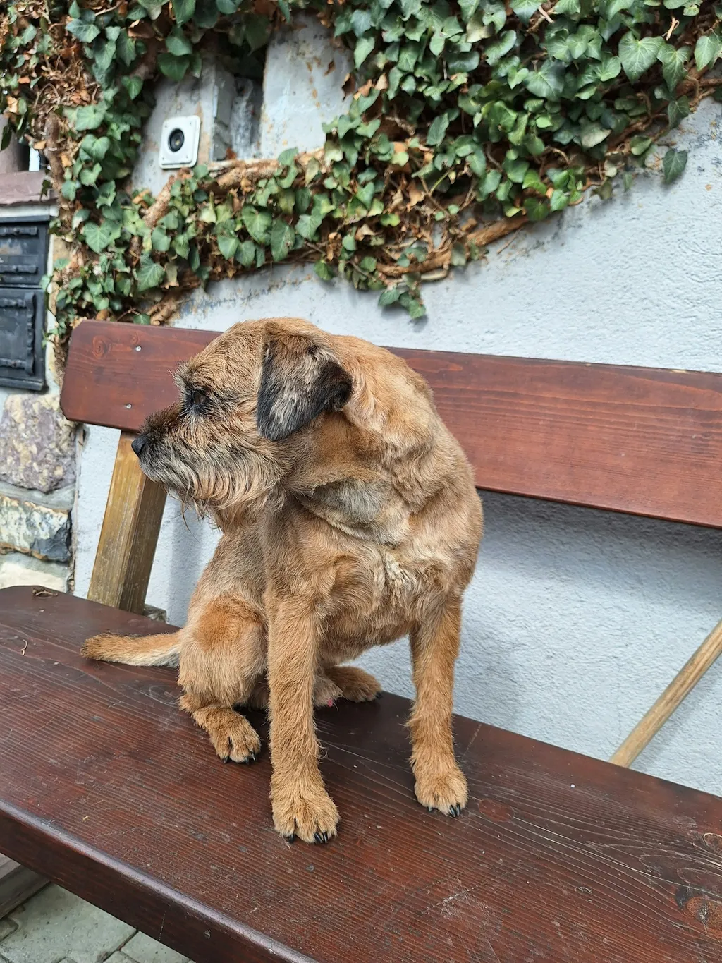 Foto del profilo di Sonja