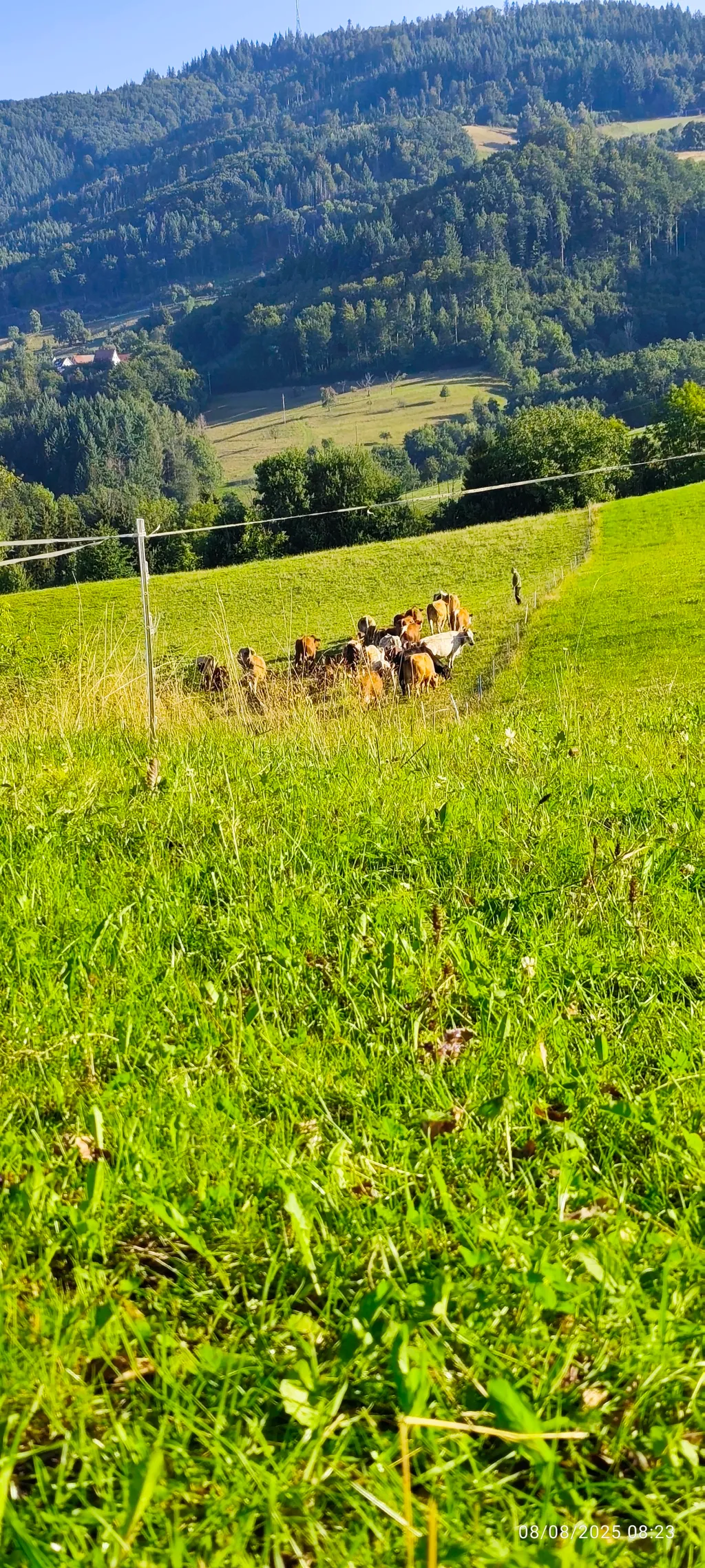 Bild von Brady für den Spot 1704