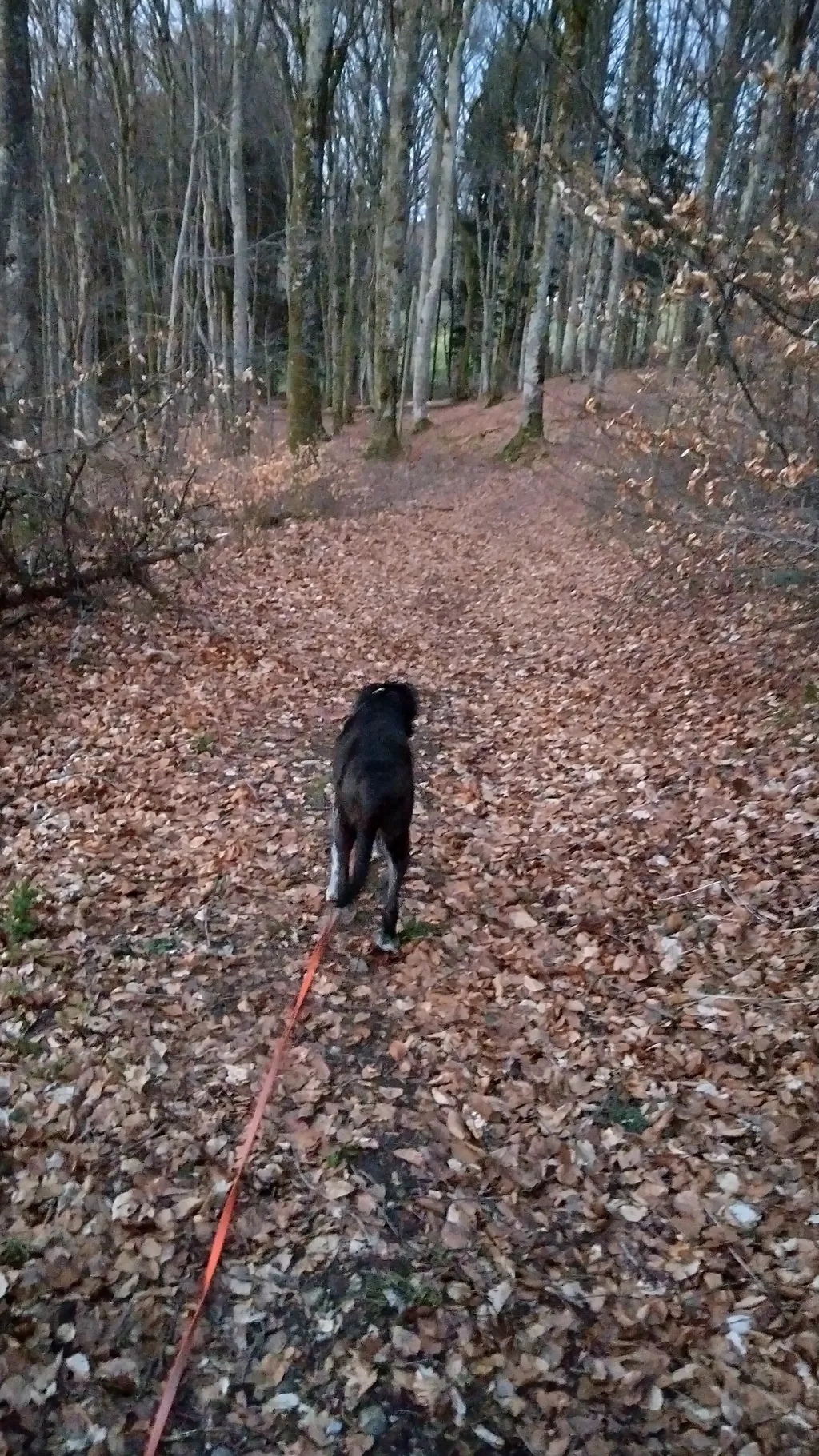 Bild von Monica für den Spot 42