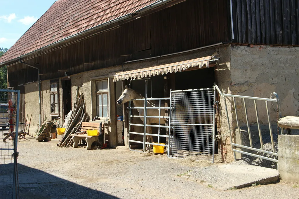 Klettgau Camp - am Waldrand