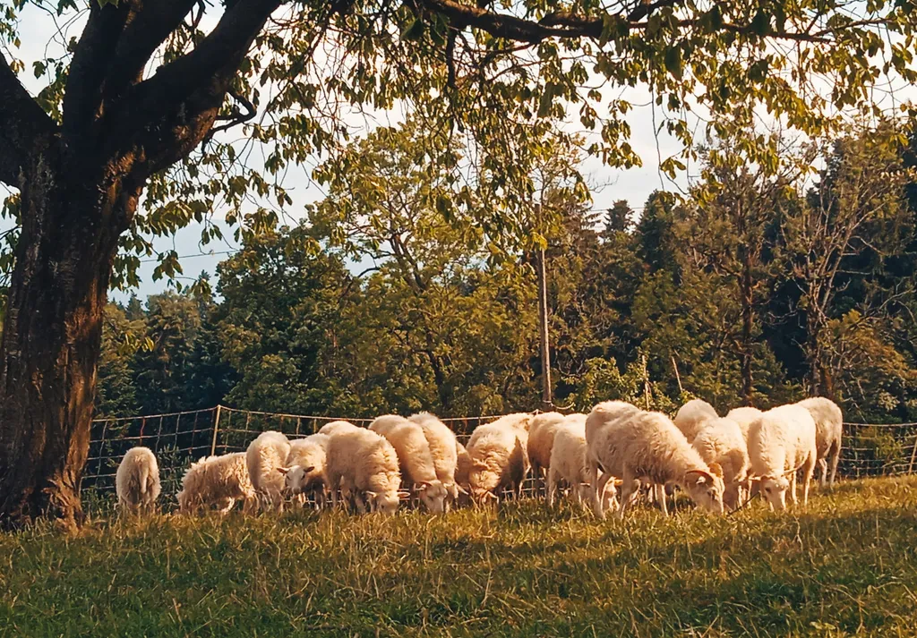 Bild von Pierre für den Spot 1186