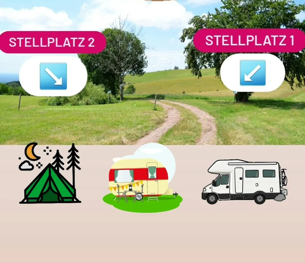 Am Kandelhöhenweg Auf der Wiese